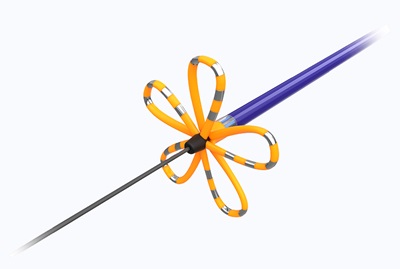 FARAPULSE PFA catheter